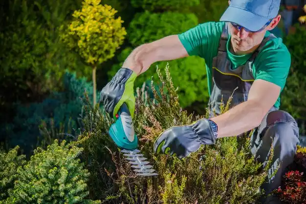 landscaping services Pewee Valley